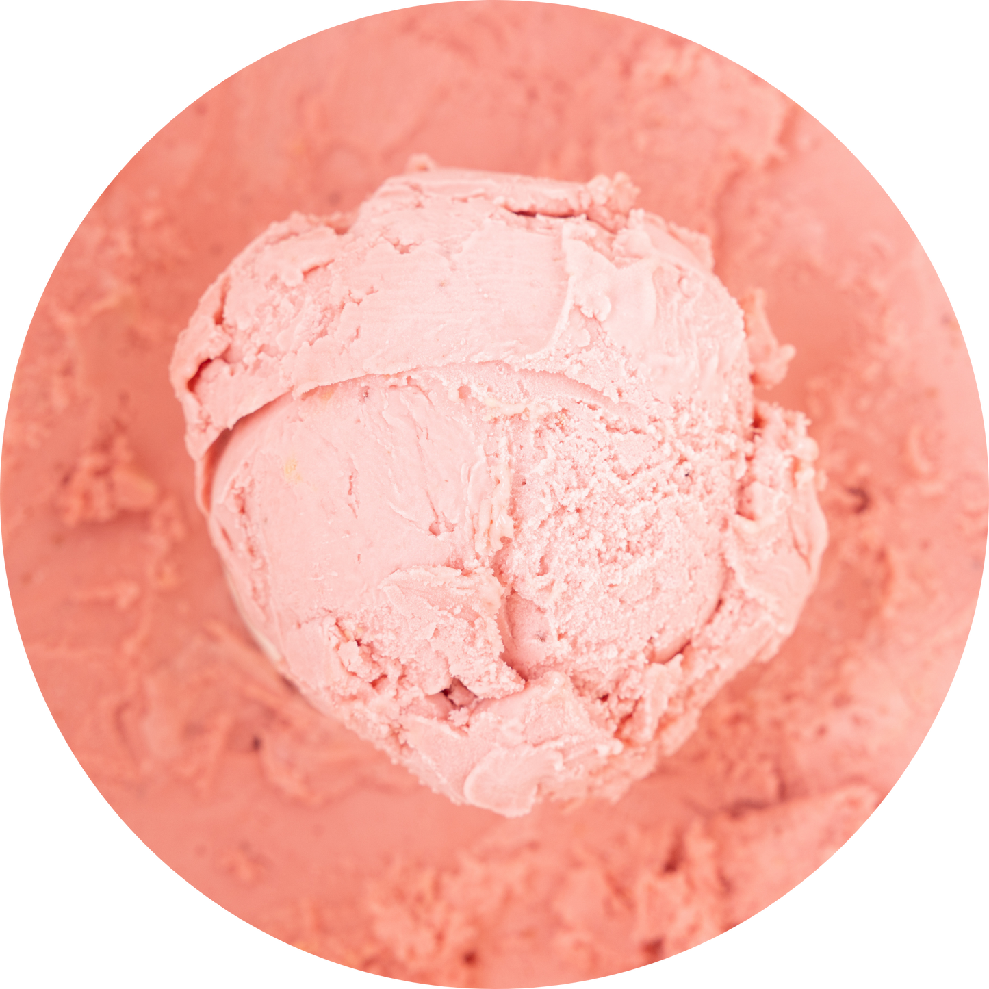Vegan Strawberry